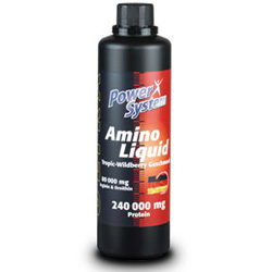 ������ ������������ Power System Amino Liquid 500 ��